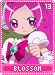 blossom13